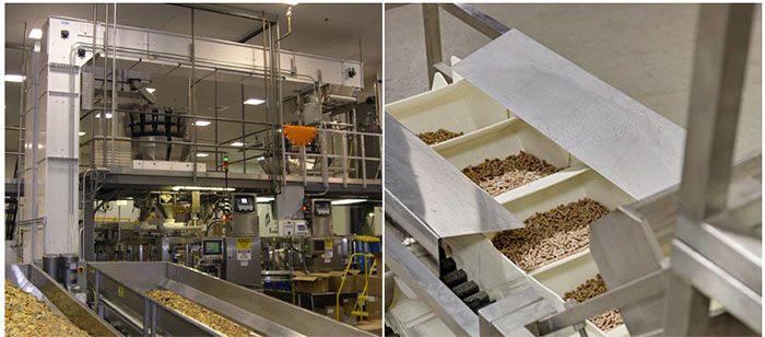 z型斗式提升機(jī)輸送堅(jiān)果